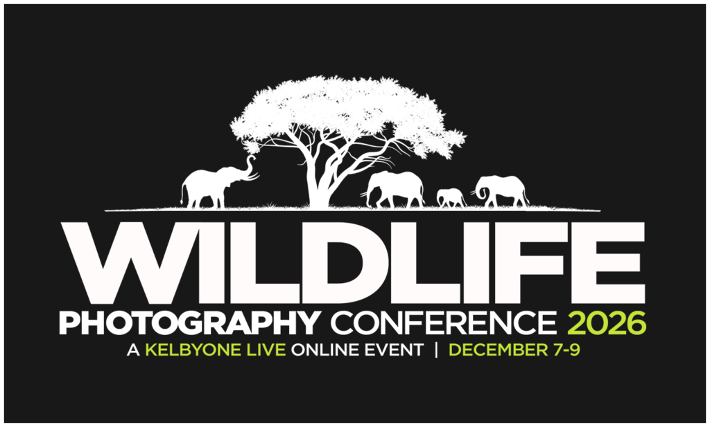 Wildlife Photography Conference 2026 | Live Online Photography Conference